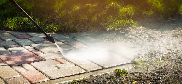 Best Sidewalk and Walkway Cleaning  in Lambert, MS